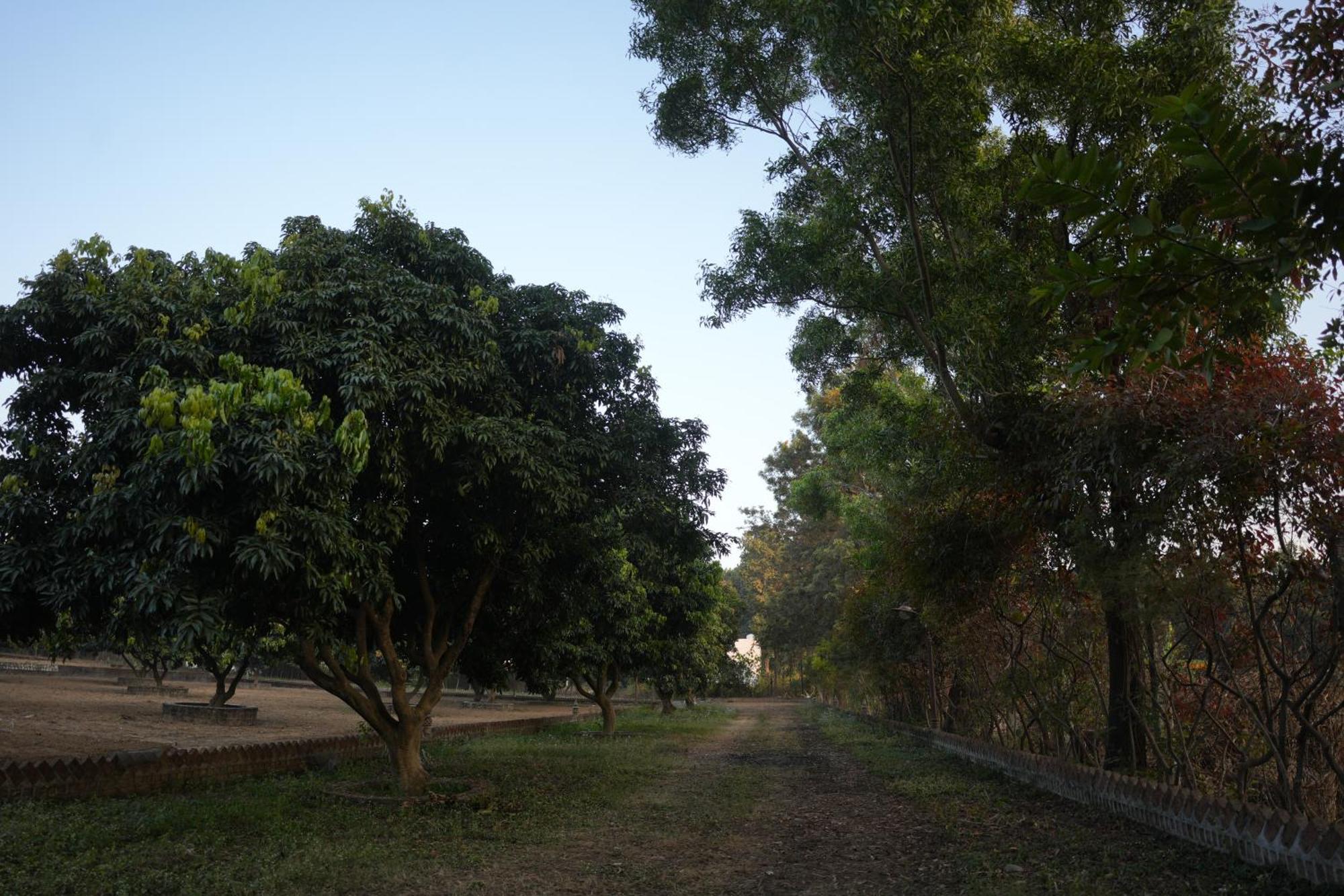 3Acres Resorts دهرادون المظهر الخارجي الصورة